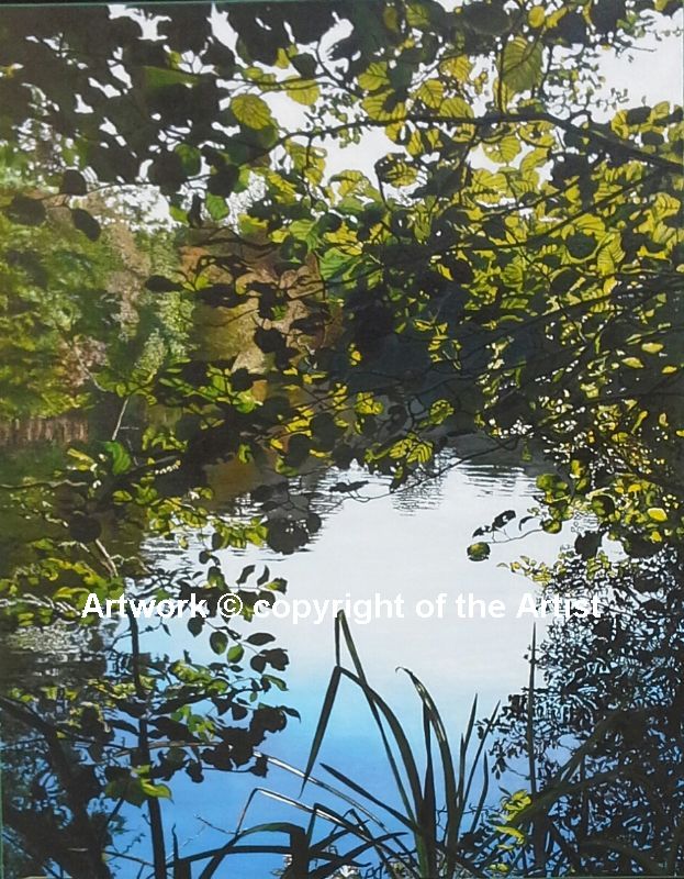 Landscapes